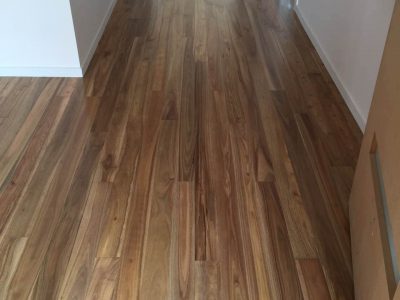 Australian Spotted Gum1